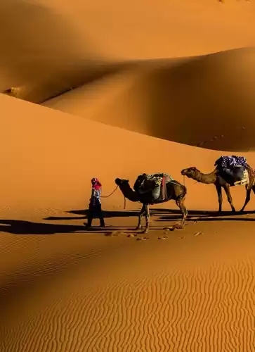 Cairo